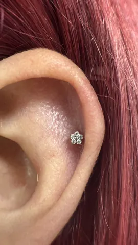 Fotografia real de un piercing realizado en Arkadia